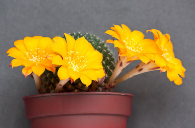 Similar image 865549