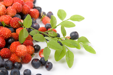 Similar image 865558