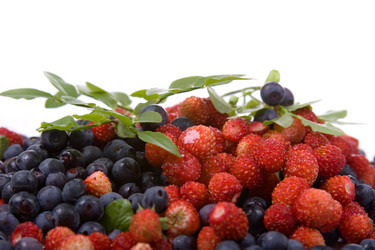 Similar image 865560