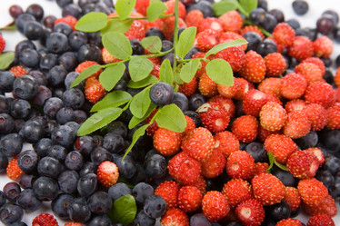 Similar image 865569