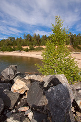 Similar image 865586