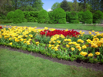 Similar image 865628