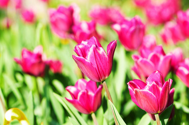 Similar image 865794