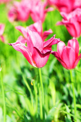 Similar image 865796