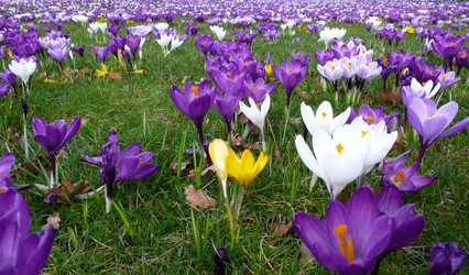 Similar image 865846