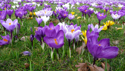 Similar image 865853