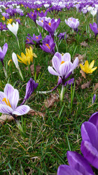 Similar image 865855