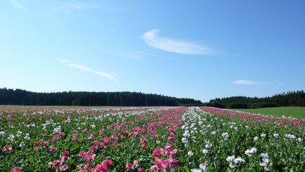 Similar image 865867