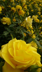 Similar image 865878