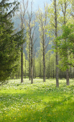 Similar image 865903