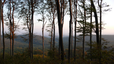 Similar image 865909