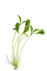 Similar image 865947