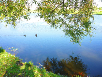 Similar image 865981