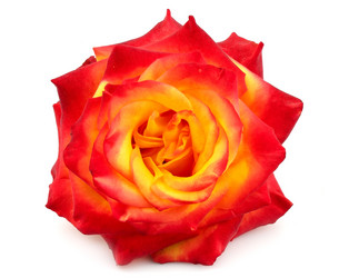 Similar image 866026