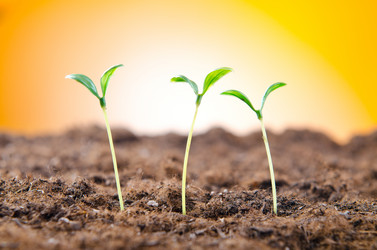 Similar image 866162