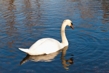 Similar image 866212