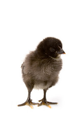 Similar image 866278