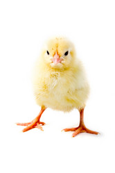 Similar image 866280