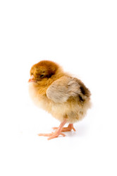 Similar image 866282