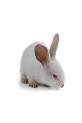 Similar image 866293