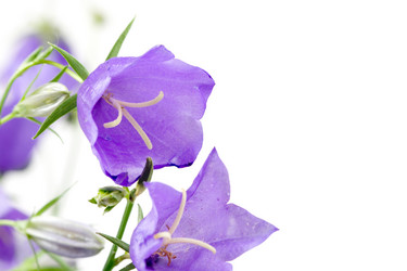 Similar image 866325