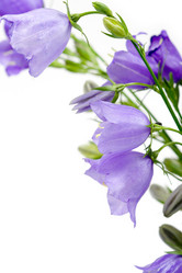 Similar image 866328