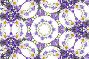 Similar image 866337