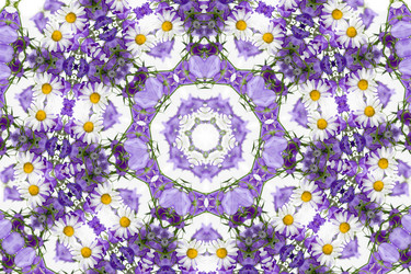 Similar image 866339