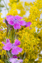 Similar image 866343