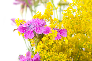 Similar image 866344