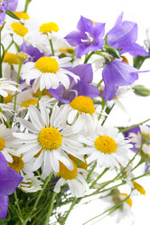 Similar image 866346