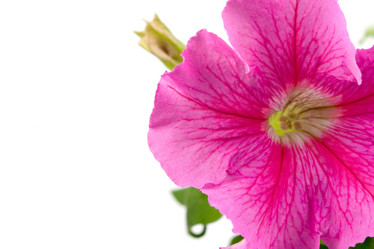 Similar image 866347