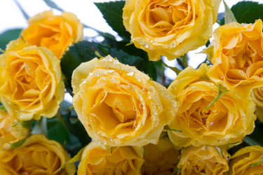 Similar image 866350