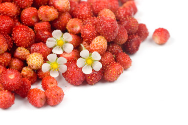 Similar image 866360