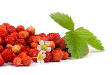 Similar image 866362