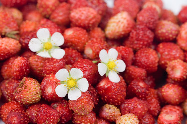 Similar image 866363