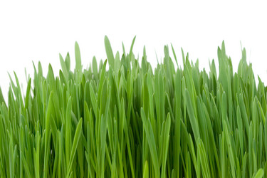 Similar image 866368