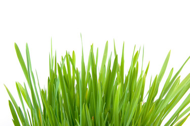 Similar image 866369