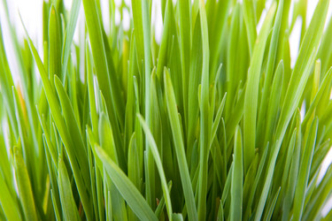 Similar image 866373