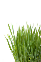 Similar image 866372