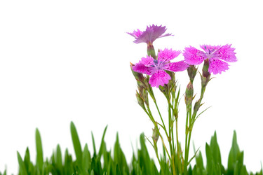 Similar image 866377