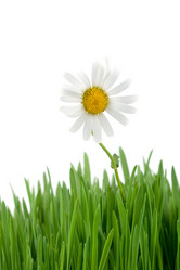 Similar image 866381