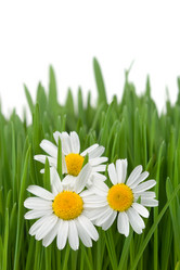 Similar image 866380