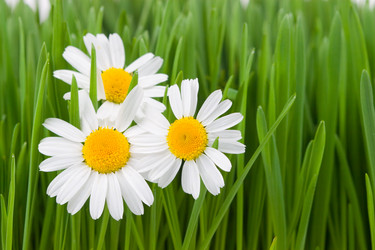 Similar image 866384