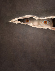 Similar image 866459