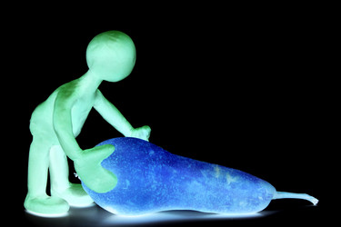 Similar image 866557