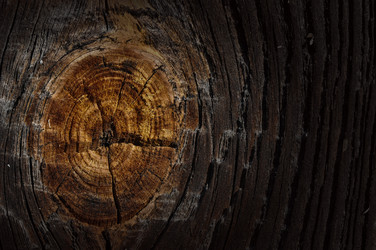 Similar image 866634