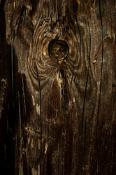 Similar image 866635