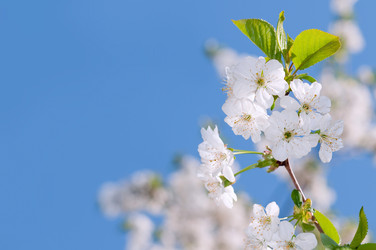 Similar image 866696