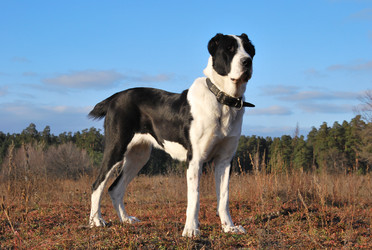 Similar image 866762